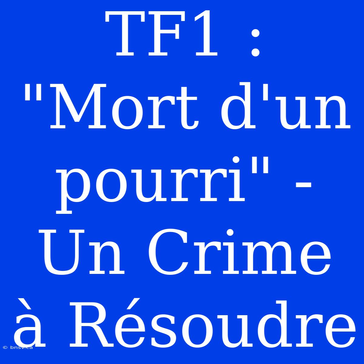 TF1 : 