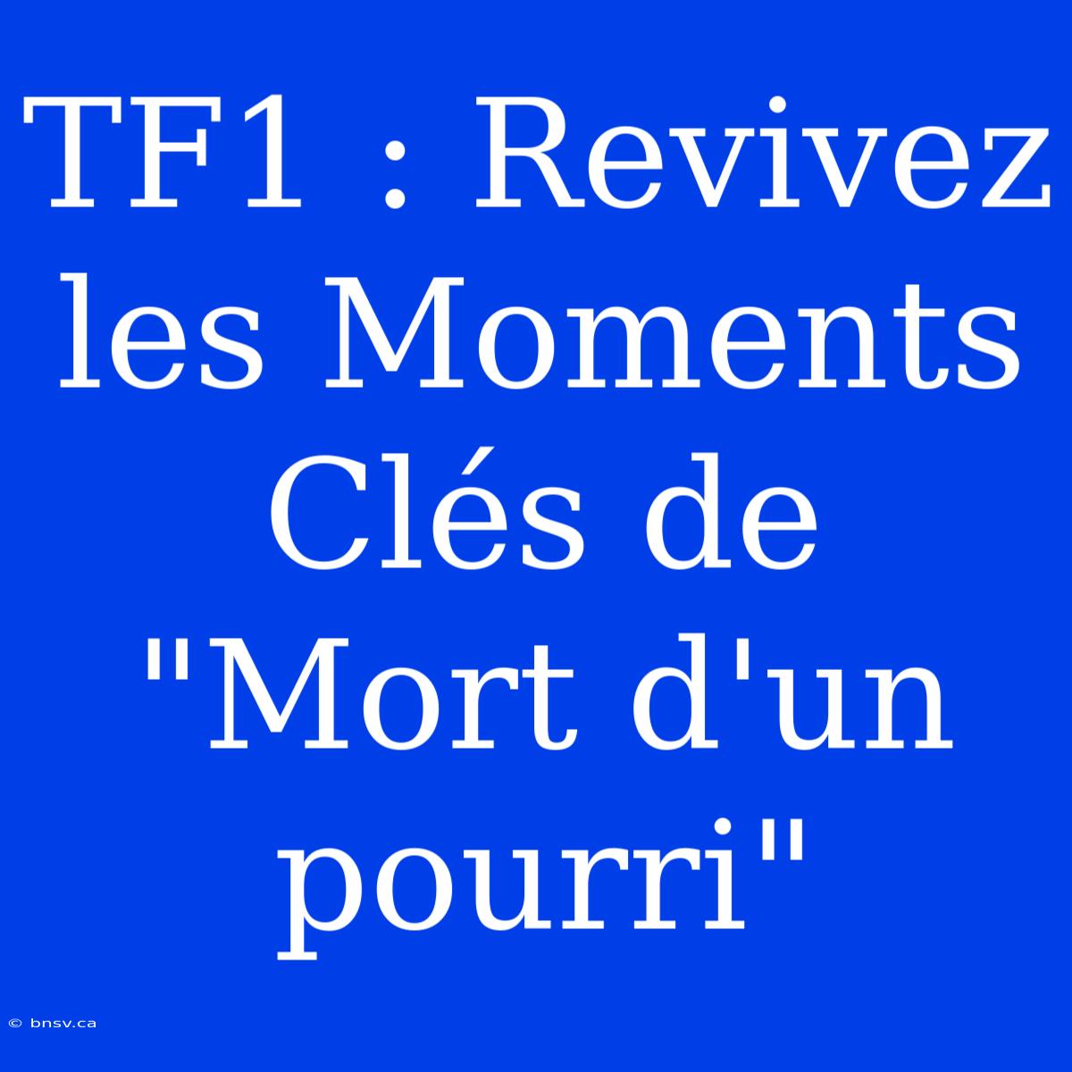 TF1 : Revivez Les Moments Clés De 