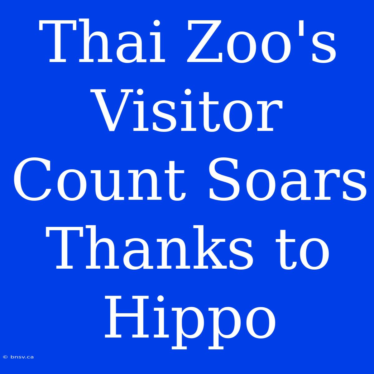 Thai Zoo's Visitor Count Soars Thanks To Hippo