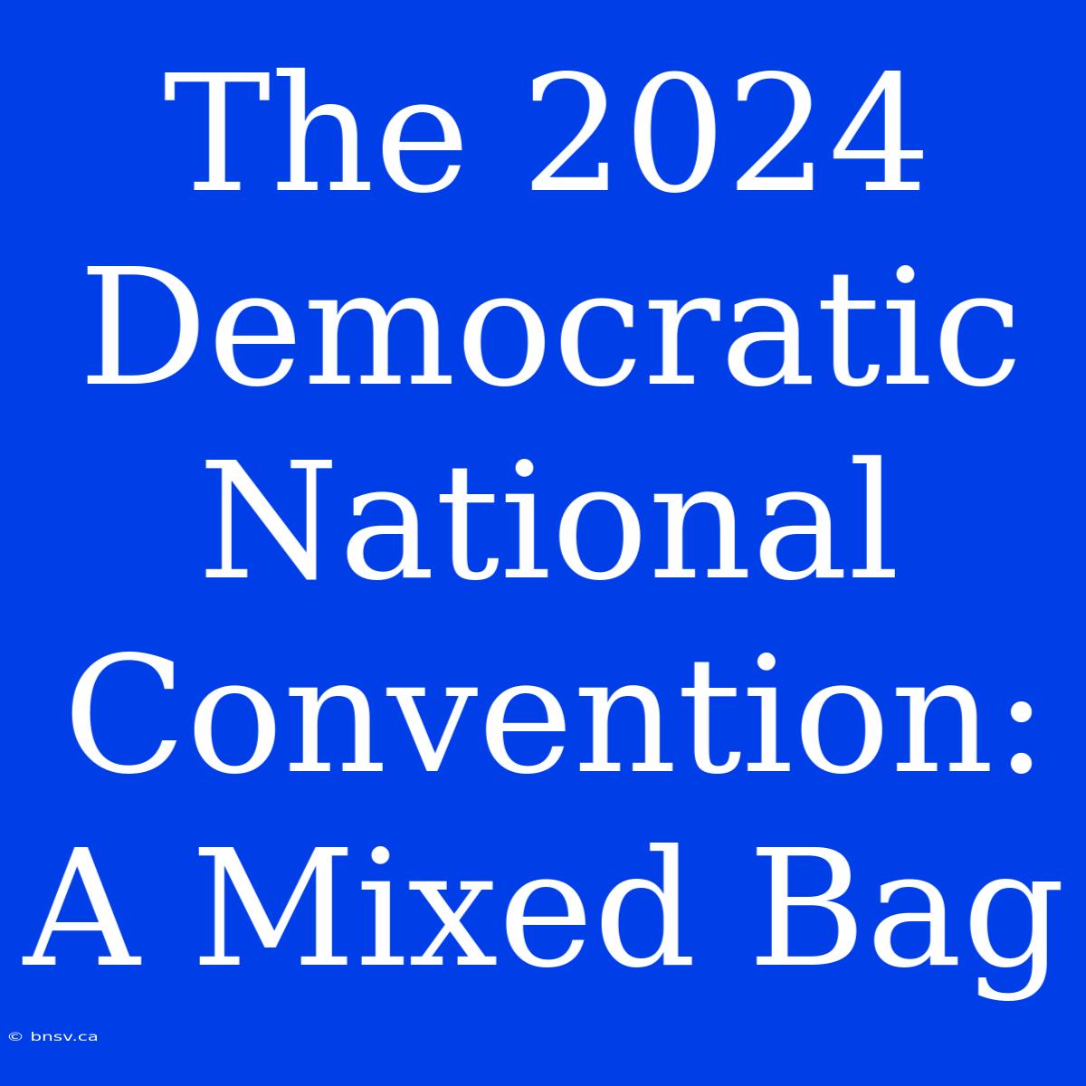 The 2024 Democratic National Convention: A Mixed Bag