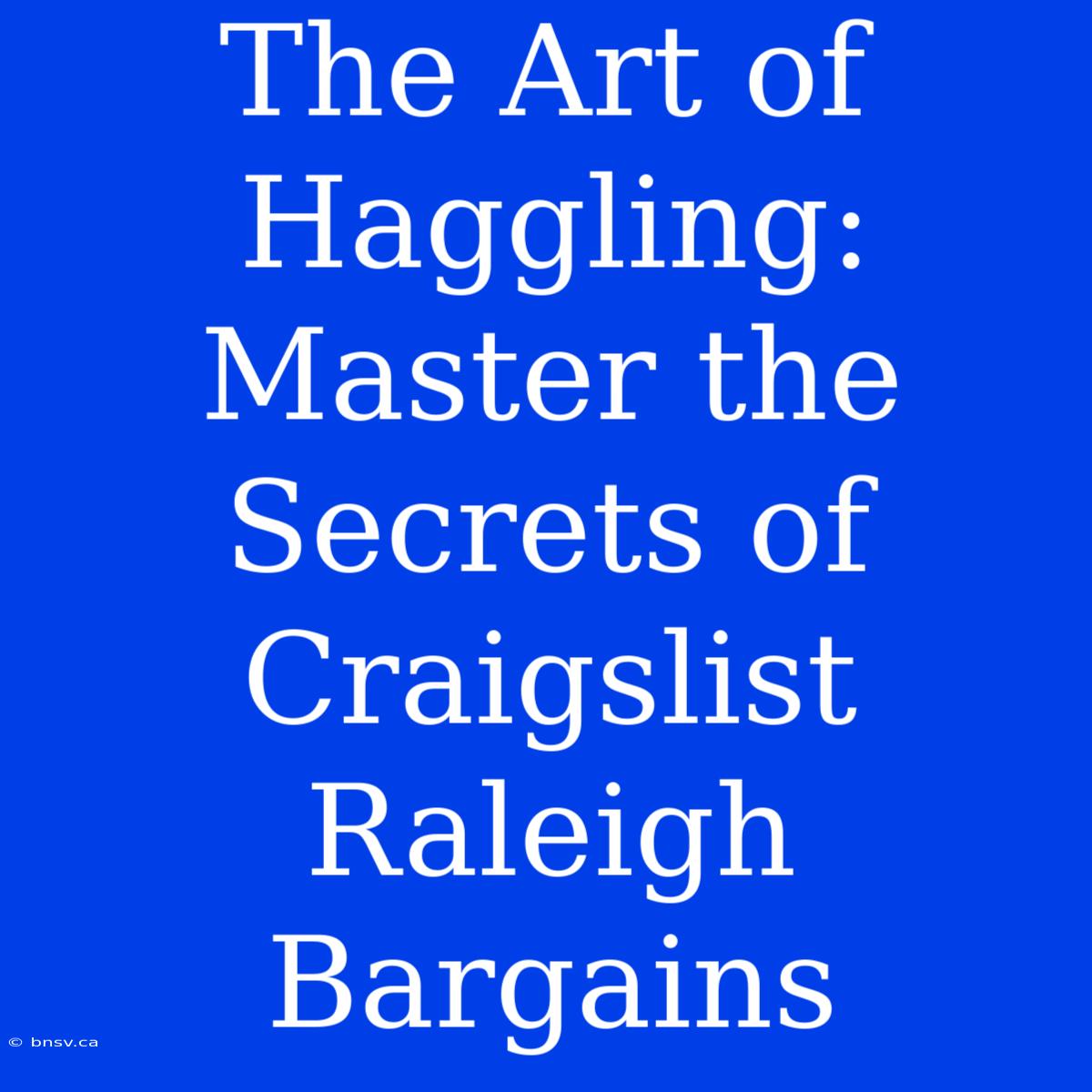 The Art Of Haggling: Master The Secrets Of Craigslist Raleigh Bargains