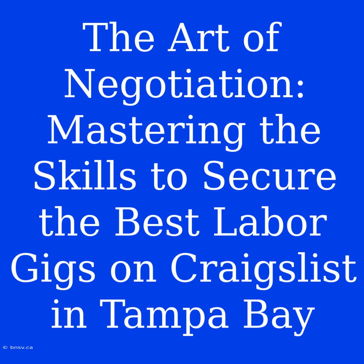 The Art Of Negotiation: Mastering The Skills To Secure The Best Labor Gigs On Craigslist In Tampa Bay