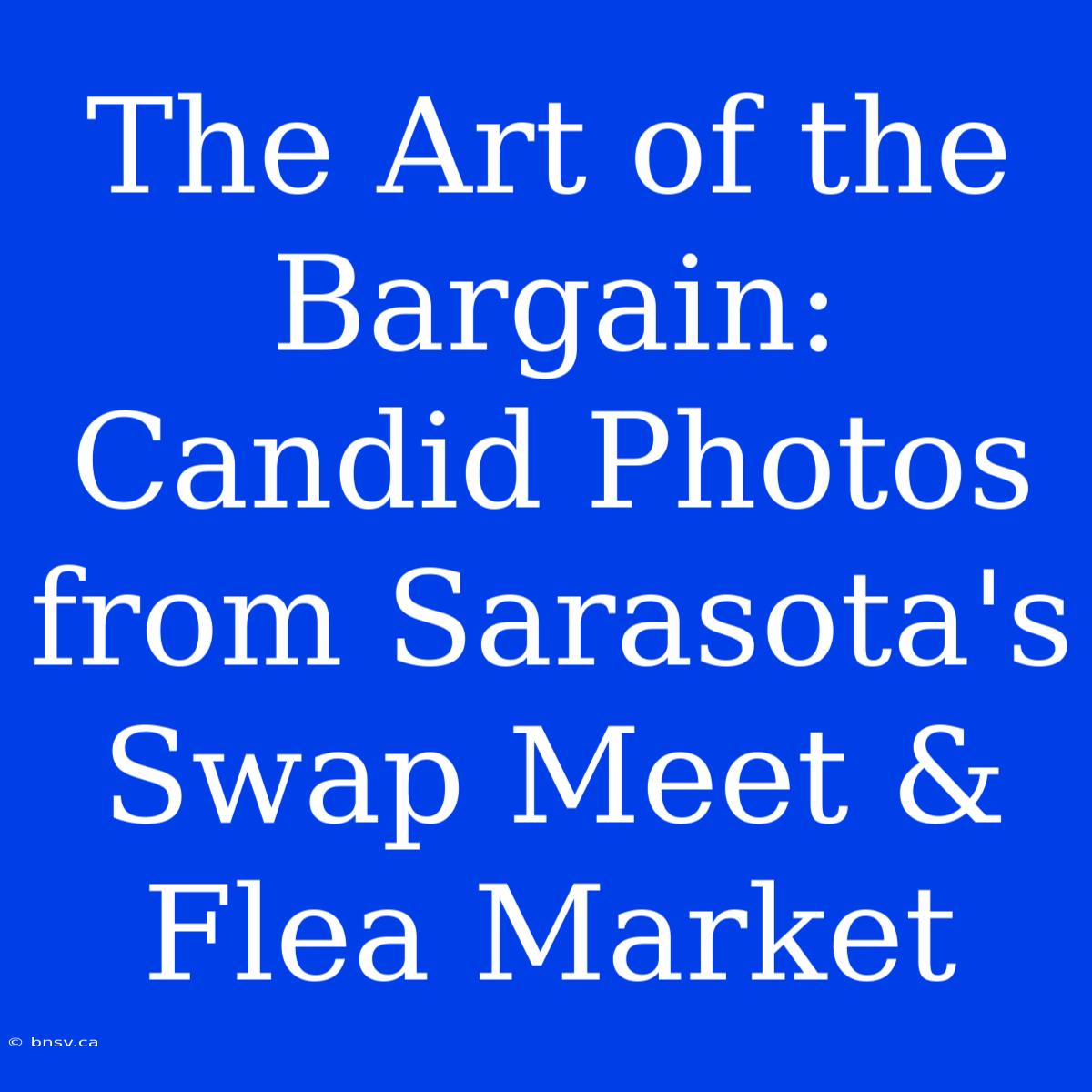 The Art Of The Bargain: Candid Photos From Sarasota's Swap Meet & Flea Market