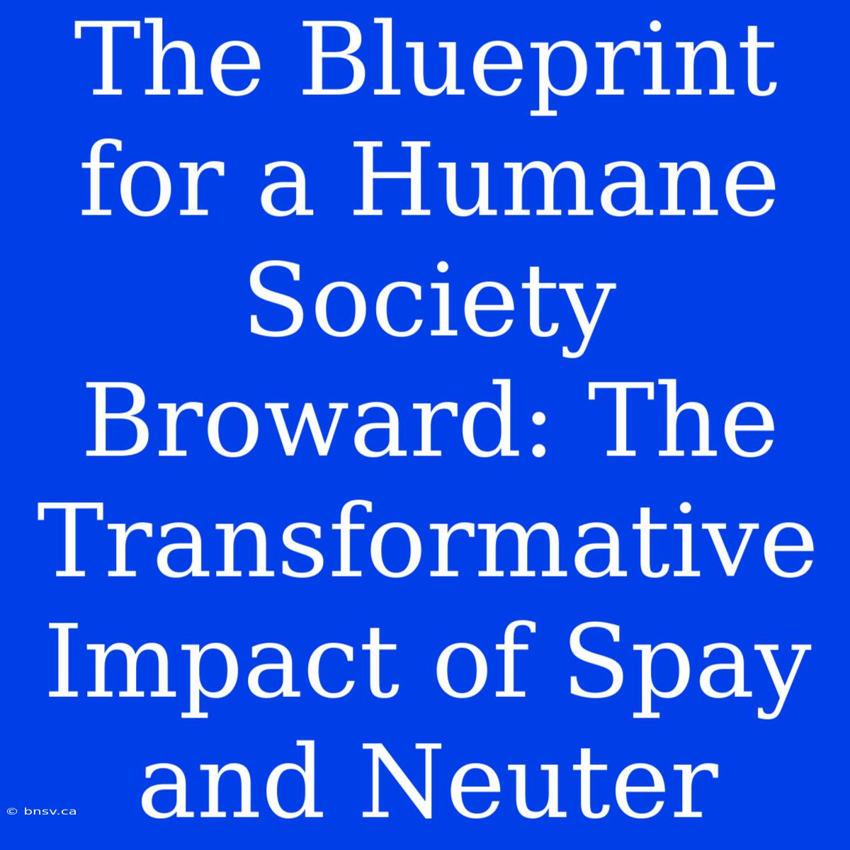 The Blueprint For A Humane Society Broward: The Transformative Impact Of Spay And Neuter