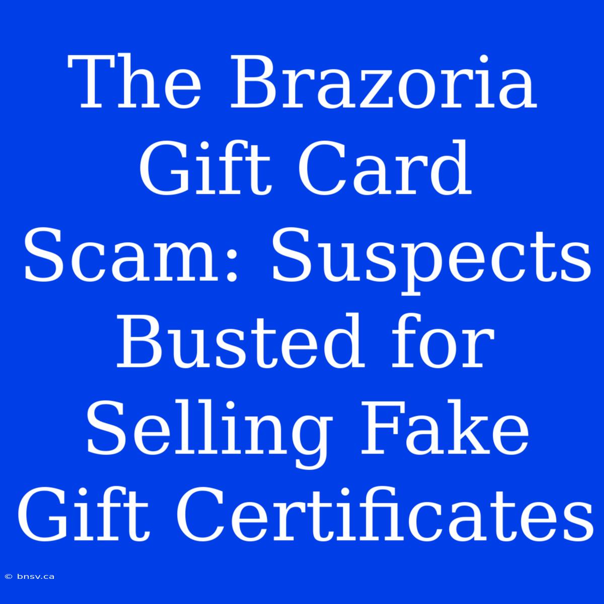 The Brazoria Gift Card Scam: Suspects Busted For Selling Fake Gift Certificates