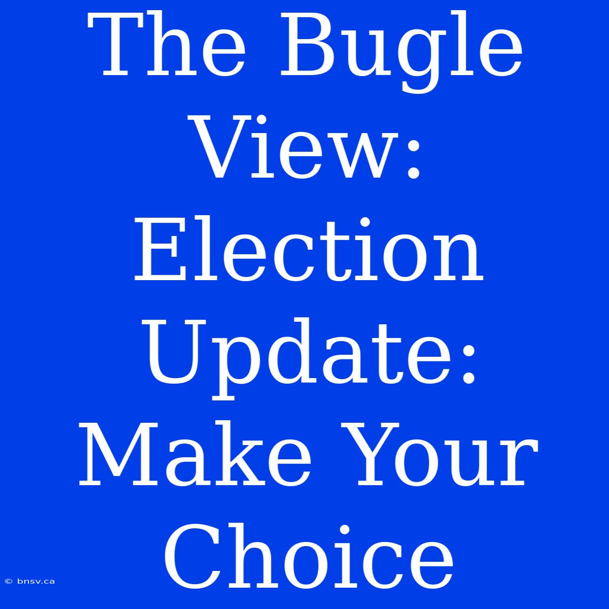 The Bugle View: Election Update: Make Your Choice