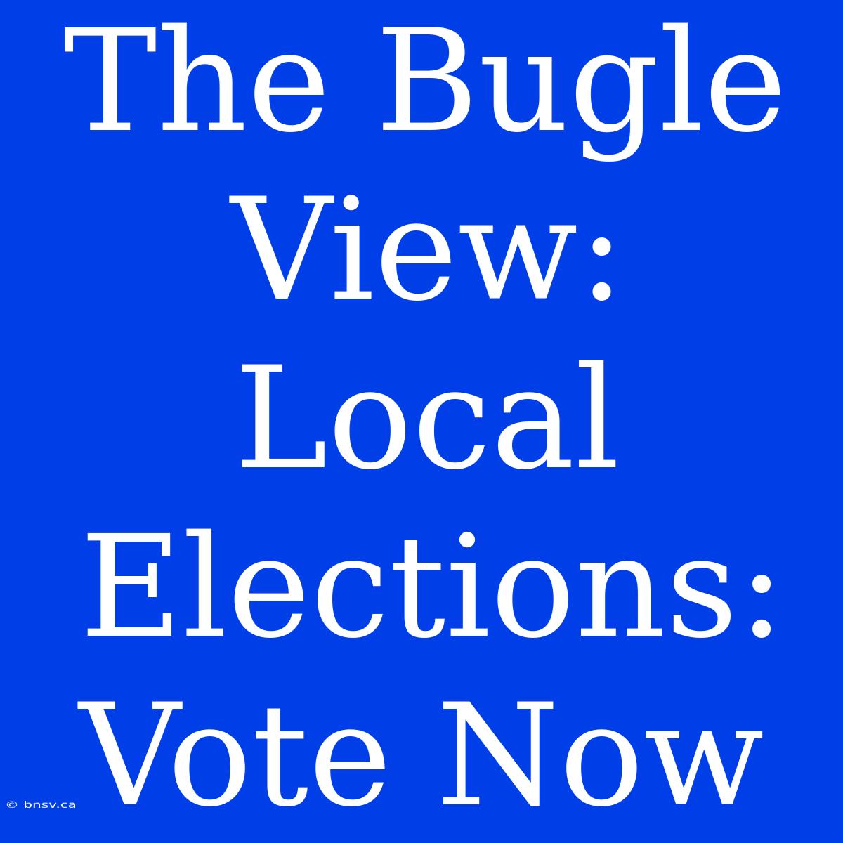 The Bugle View: Local Elections: Vote Now