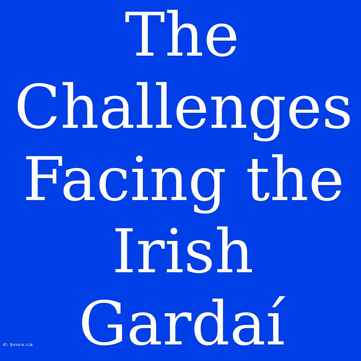 The Challenges Facing The Irish Gardaí