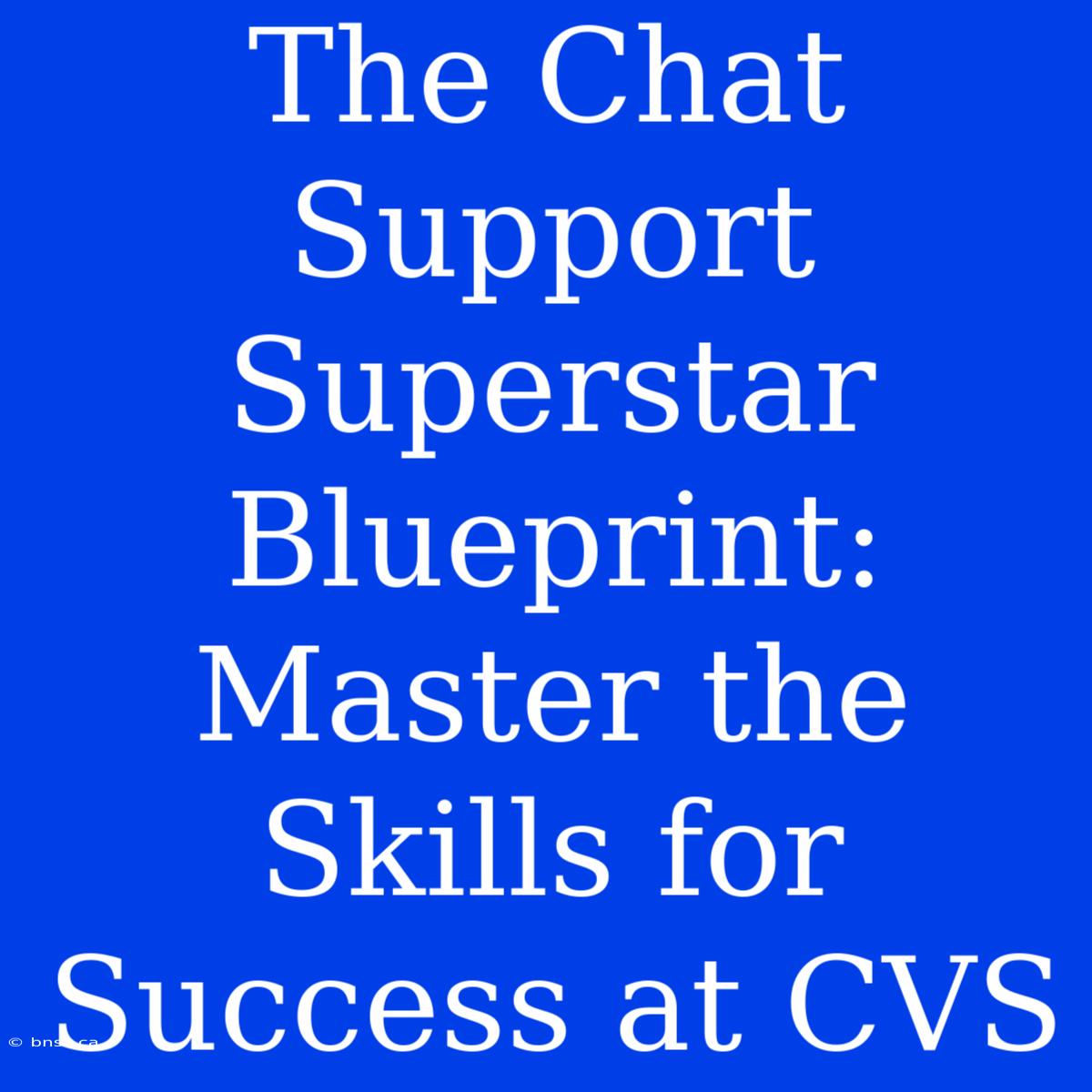 The Chat Support Superstar Blueprint: Master The Skills For Success At CVS