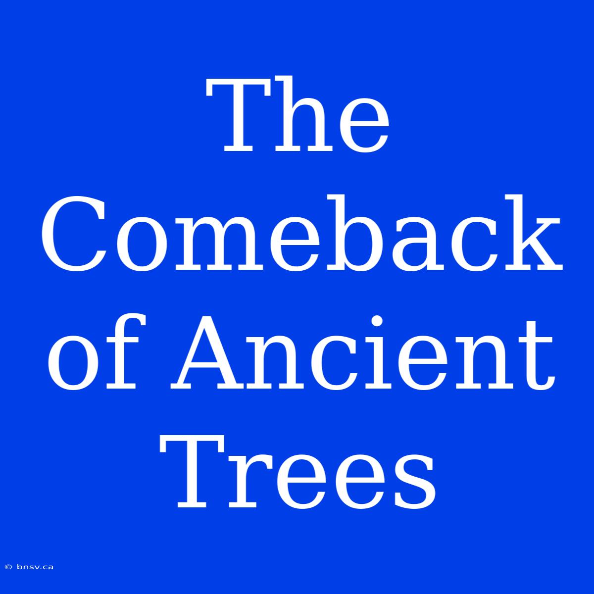 The Comeback Of Ancient Trees