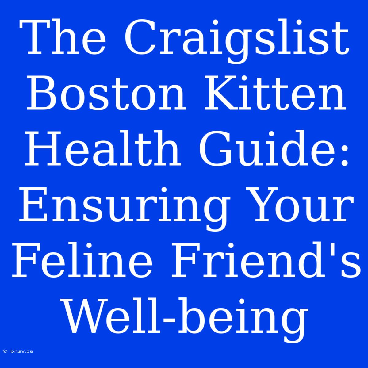 The Craigslist Boston Kitten Health Guide: Ensuring Your Feline Friend's Well-being