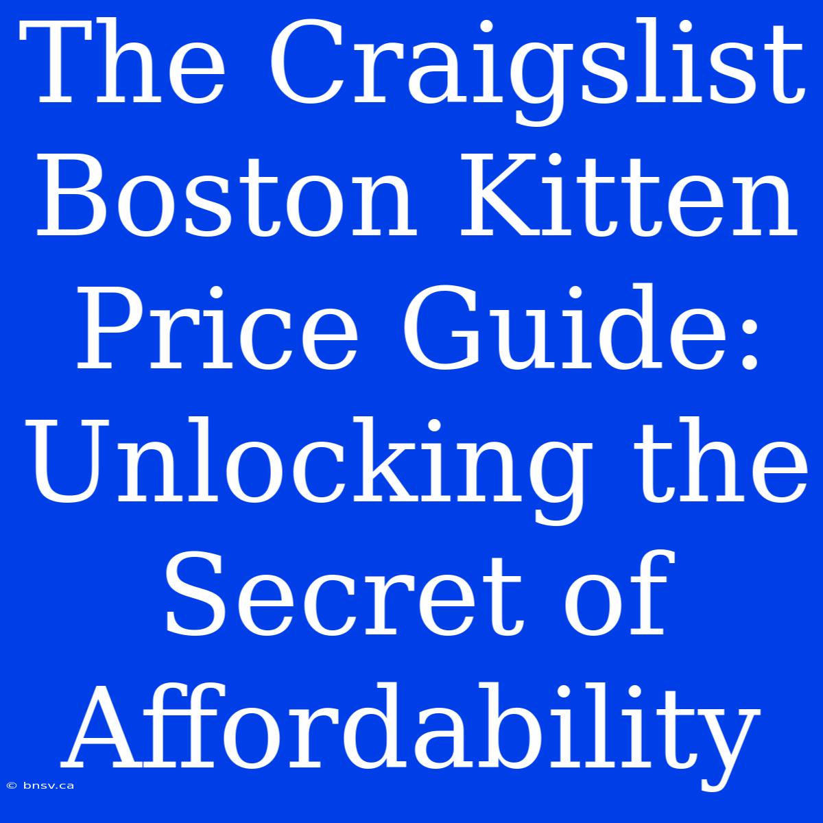 The Craigslist Boston Kitten Price Guide: Unlocking The Secret Of Affordability