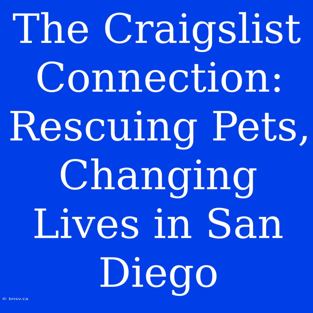 The Craigslist Connection: Rescuing Pets, Changing Lives In San Diego