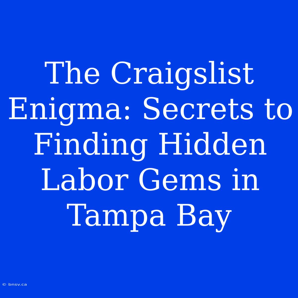 The Craigslist Enigma: Secrets To Finding Hidden Labor Gems In Tampa Bay