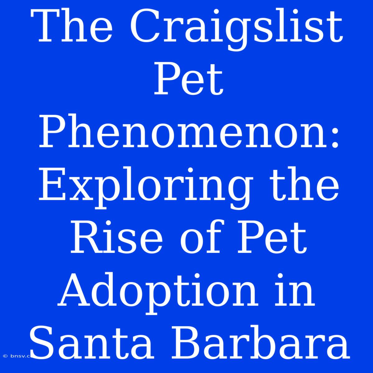 The Craigslist Pet Phenomenon: Exploring The Rise Of Pet Adoption In Santa Barbara