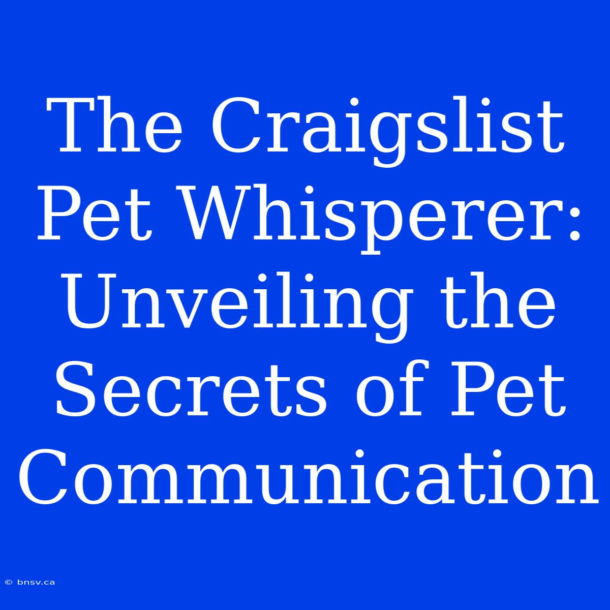 The Craigslist Pet Whisperer: Unveiling The Secrets Of Pet Communication