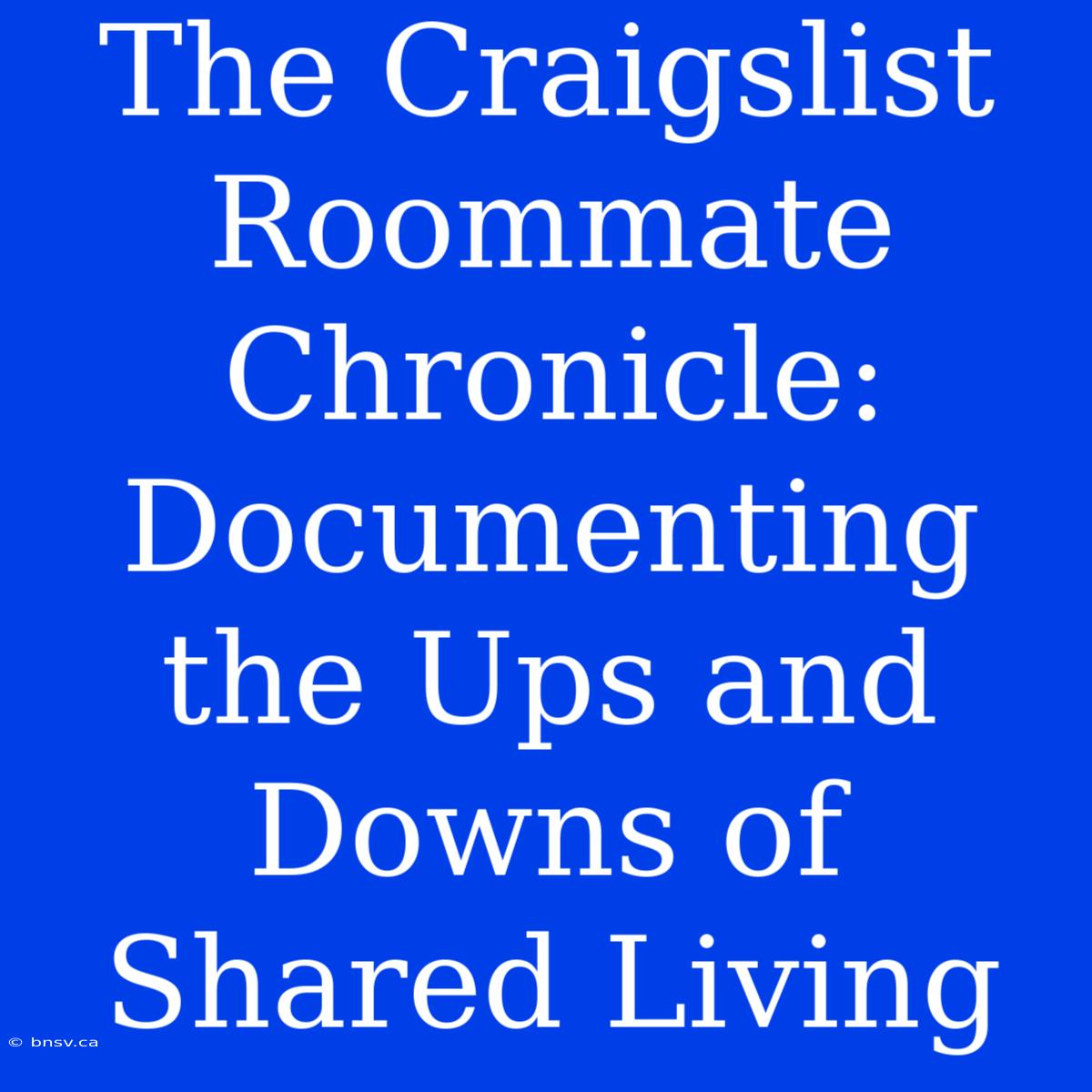 The Craigslist Roommate Chronicle: Documenting The Ups And Downs Of Shared Living