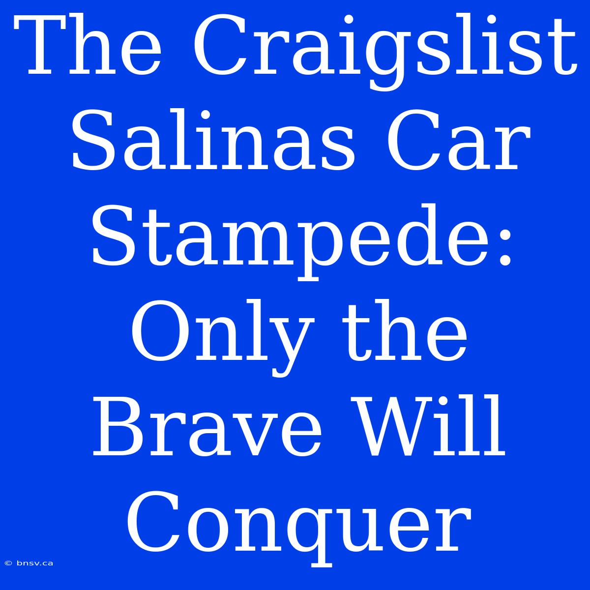 The Craigslist Salinas Car Stampede: Only The Brave Will Conquer