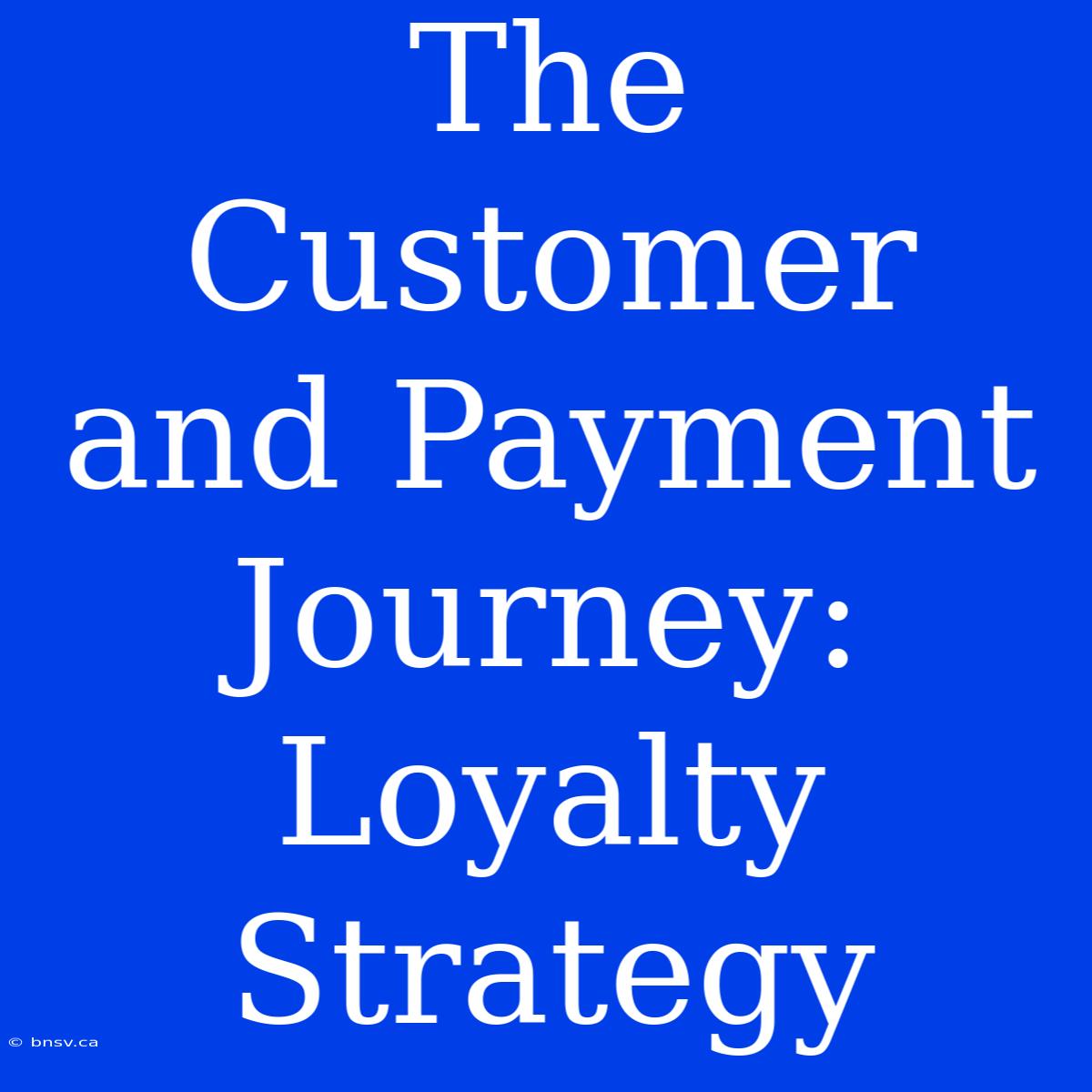 The Customer And Payment Journey: Loyalty Strategy