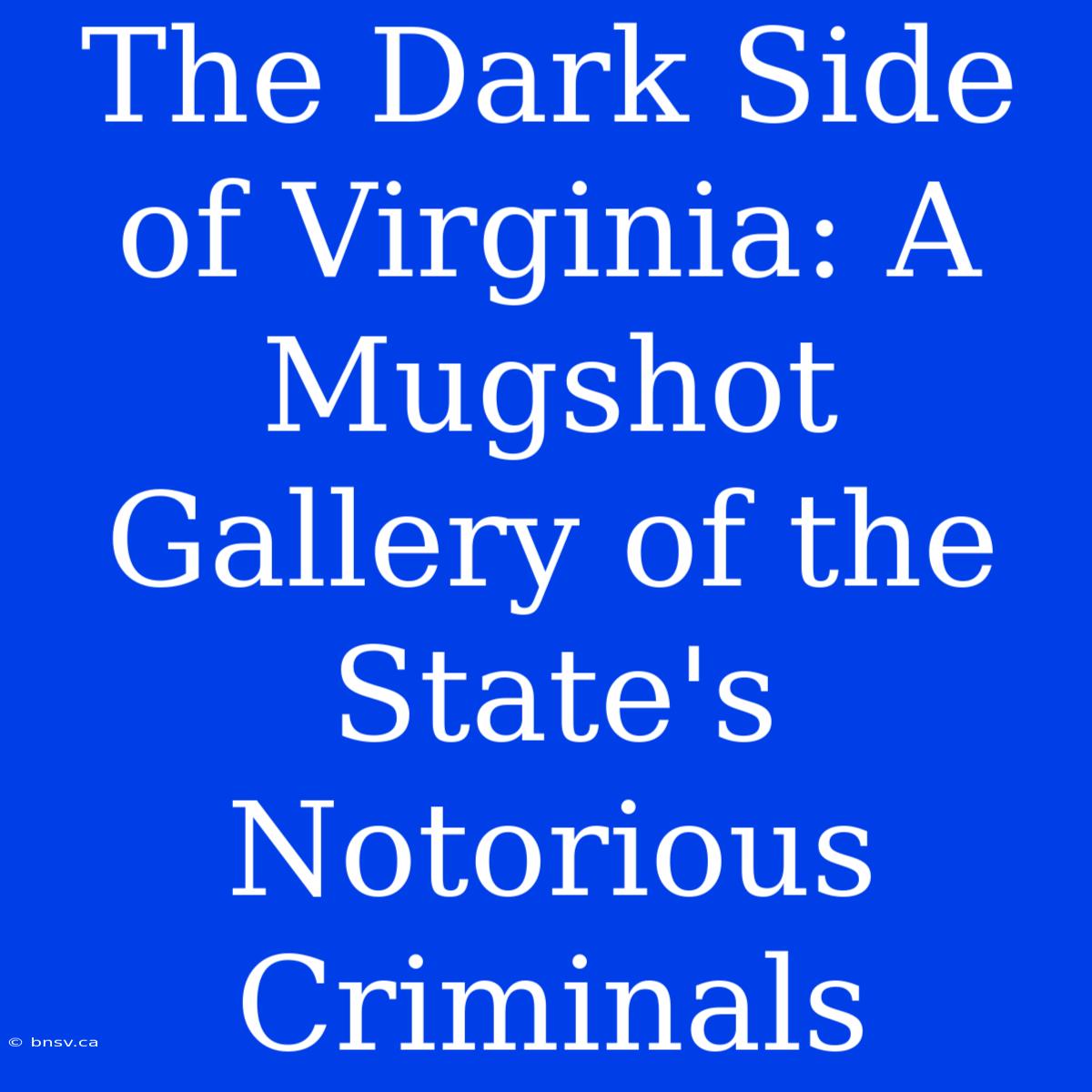 The Dark Side Of Virginia: A Mugshot Gallery Of The State's Notorious Criminals