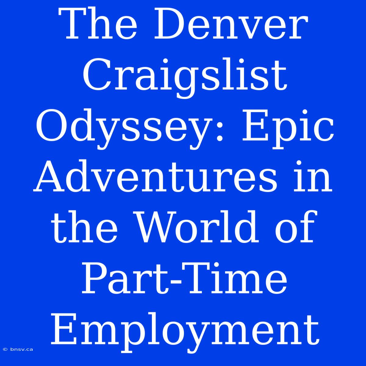 The Denver Craigslist Odyssey: Epic Adventures In The World Of Part-Time Employment