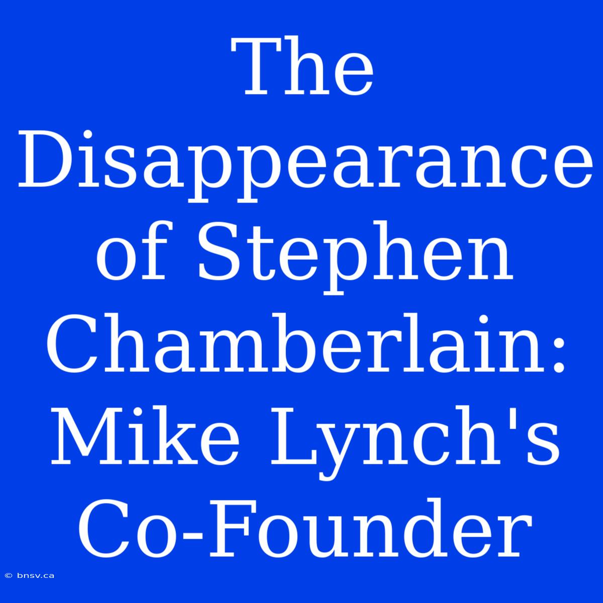 The Disappearance Of Stephen Chamberlain: Mike Lynch's Co-Founder