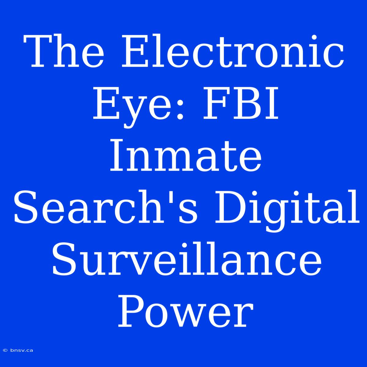 The Electronic Eye: FBI Inmate Search's Digital Surveillance Power