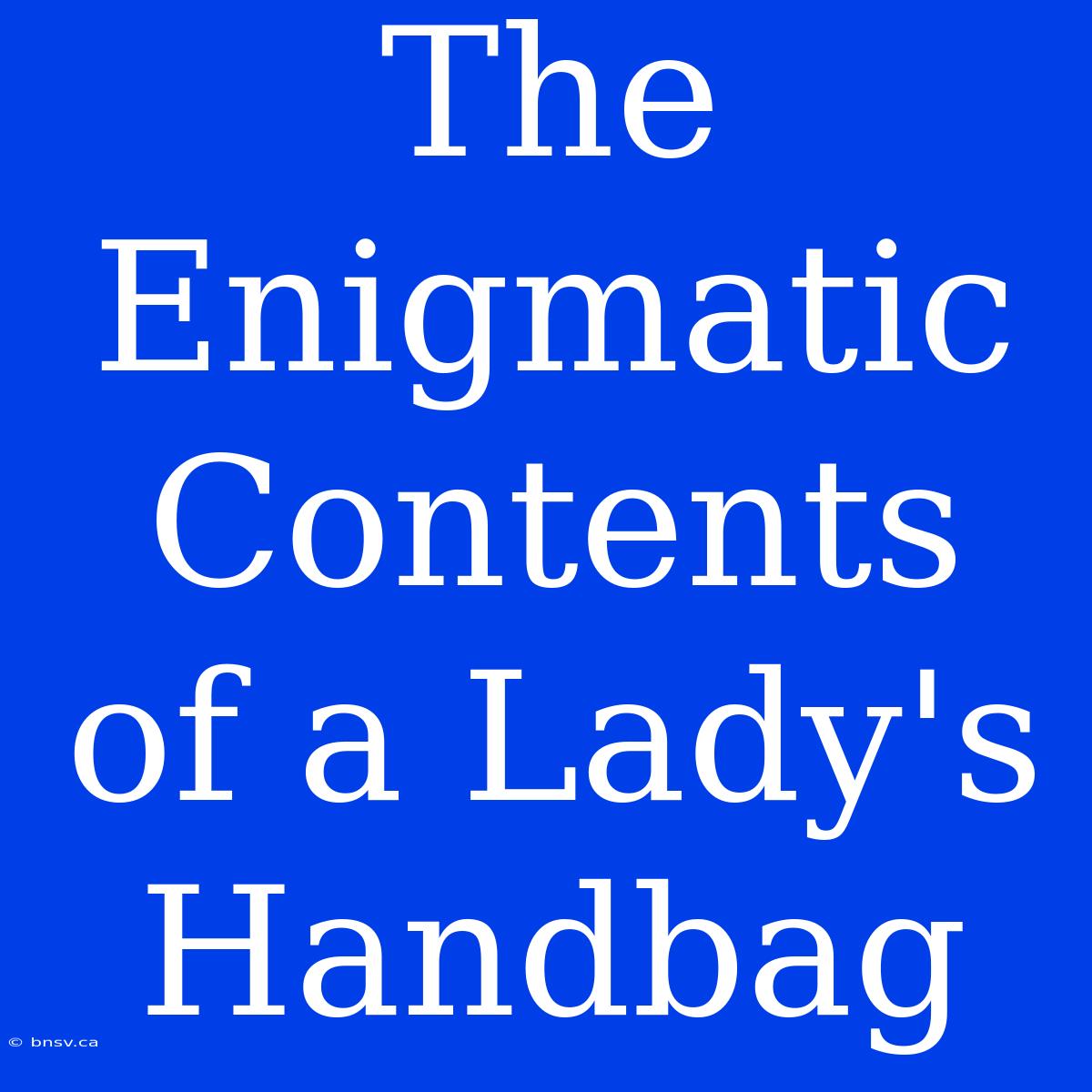 The Enigmatic Contents Of A Lady's Handbag