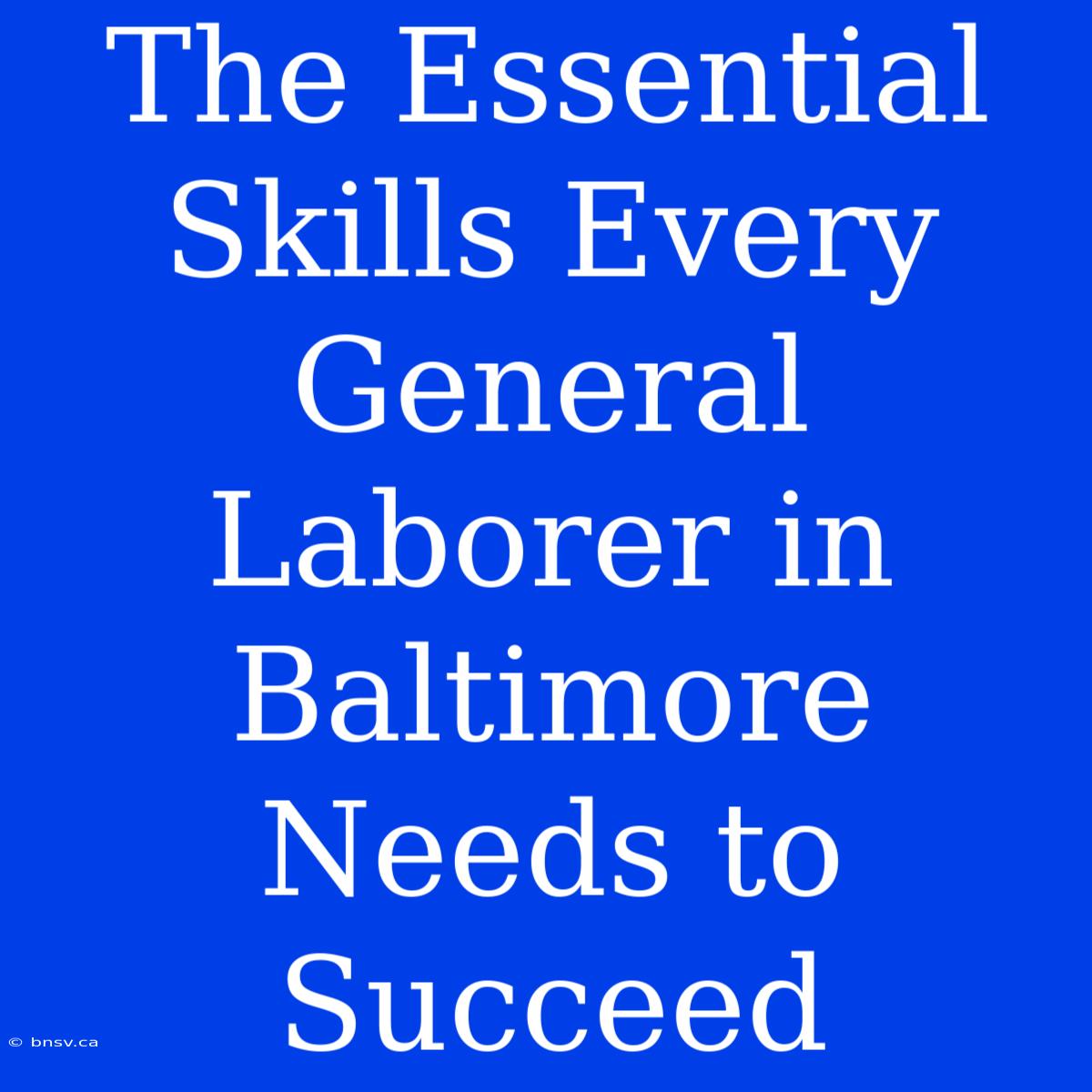 The Essential Skills Every General Laborer In Baltimore Needs To Succeed