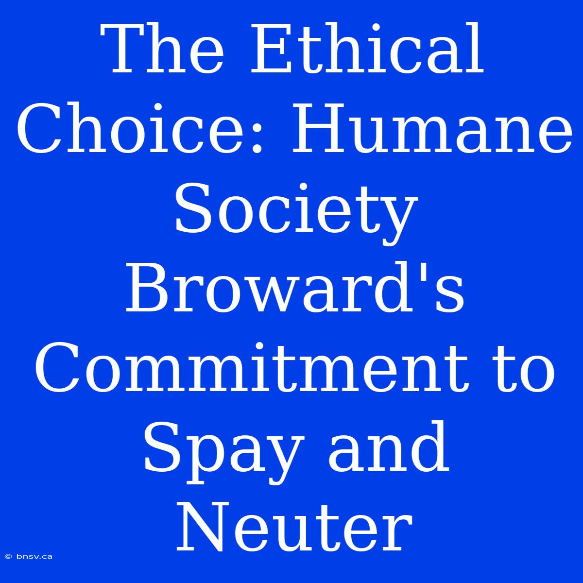 The Ethical Choice: Humane Society Broward's Commitment To Spay And Neuter