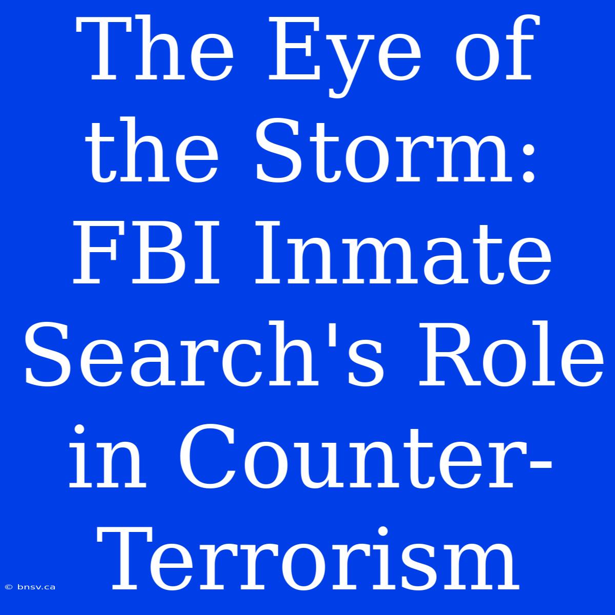 The Eye Of The Storm: FBI Inmate Search's Role In Counter-Terrorism