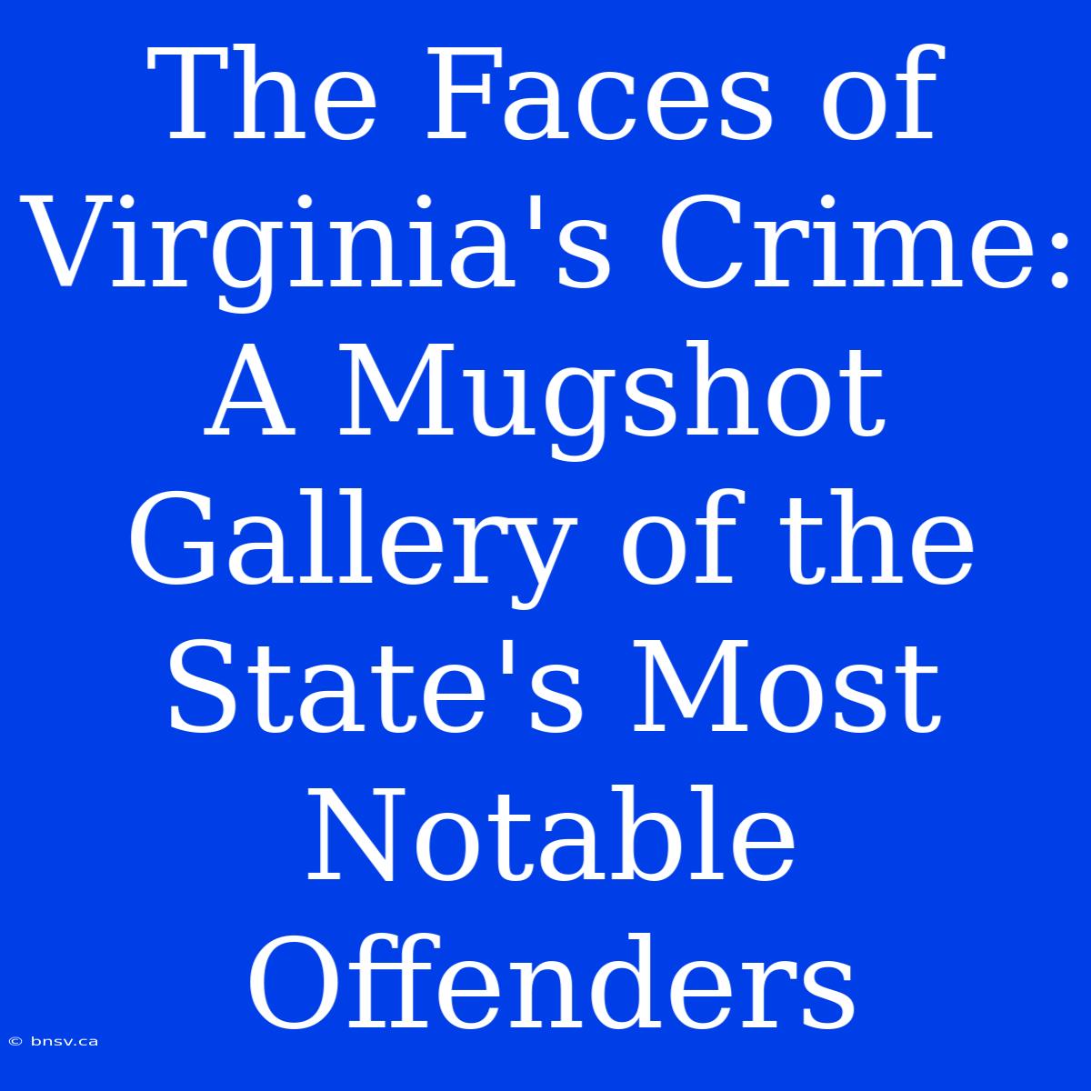 The Faces Of Virginia's Crime: A Mugshot Gallery Of The State's Most Notable Offenders