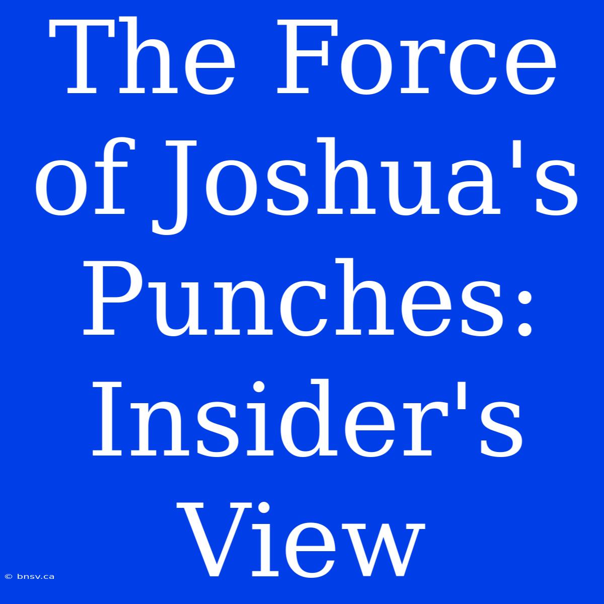 The Force Of Joshua's Punches: Insider's View