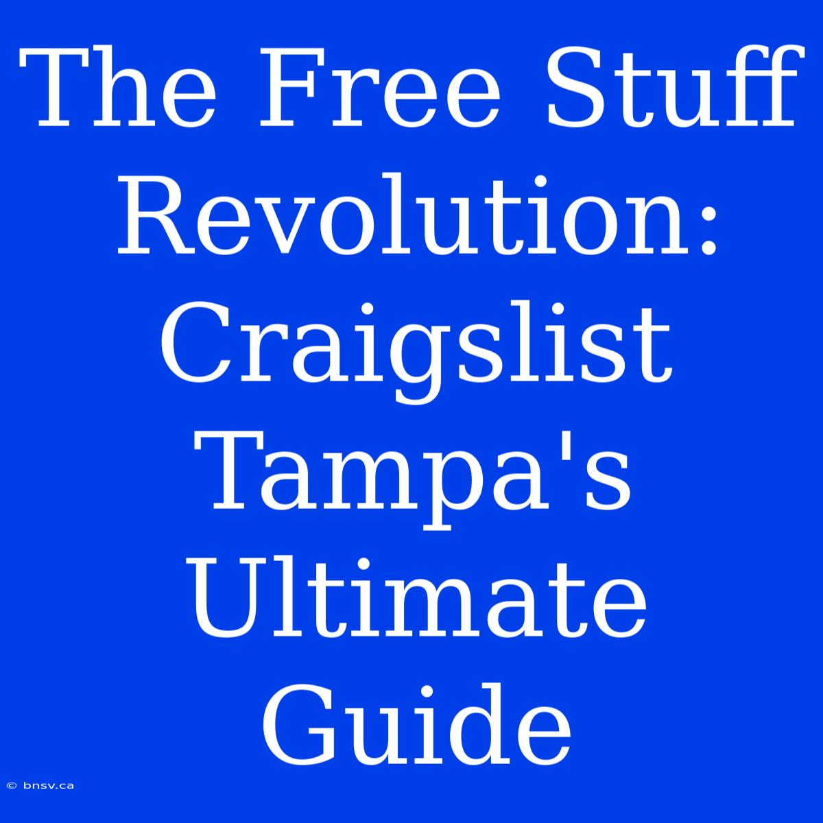 The Free Stuff Revolution: Craigslist Tampa's Ultimate Guide