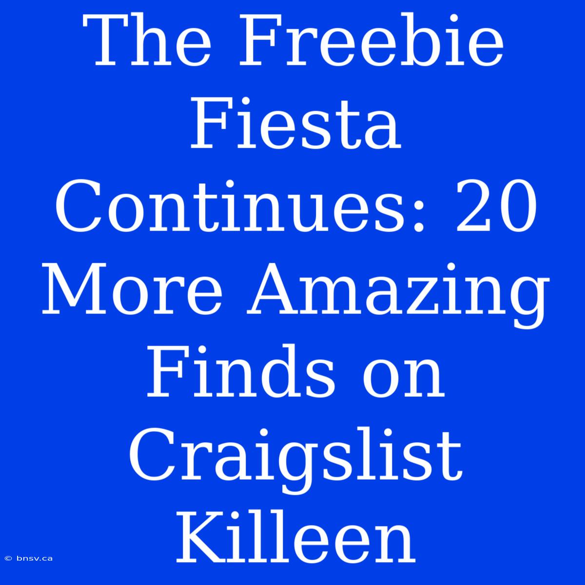 The Freebie Fiesta Continues: 20 More Amazing Finds On Craigslist Killeen