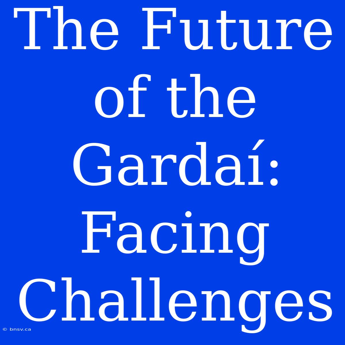 The Future Of The Gardaí: Facing Challenges