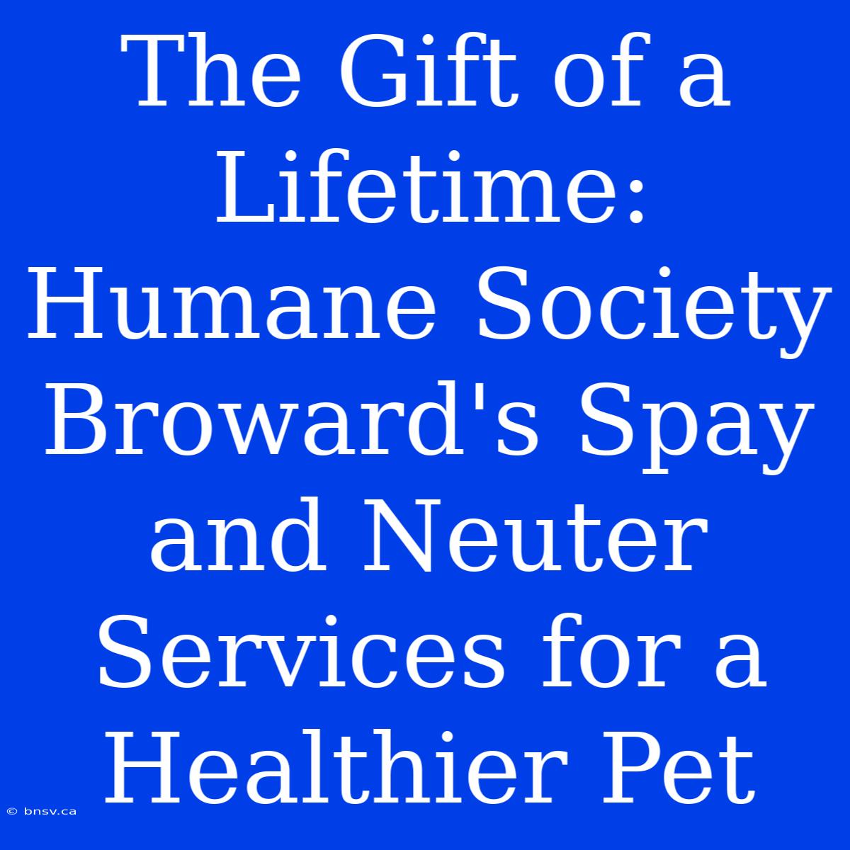 The Gift Of A Lifetime: Humane Society Broward's Spay And Neuter Services For A Healthier Pet