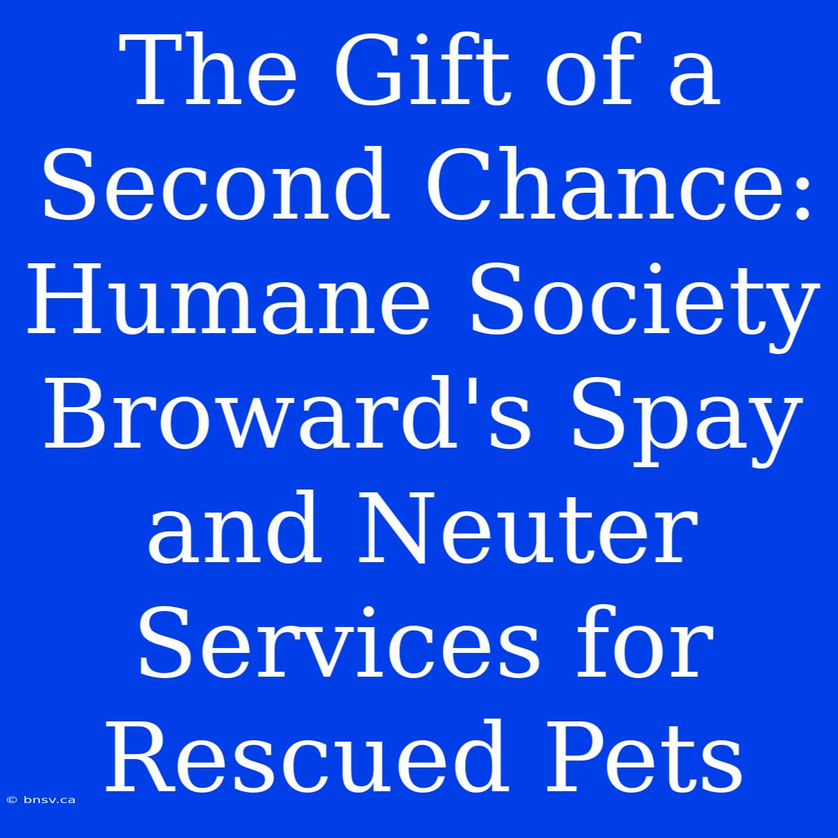 The Gift Of A Second Chance: Humane Society Broward's Spay And Neuter Services For Rescued Pets