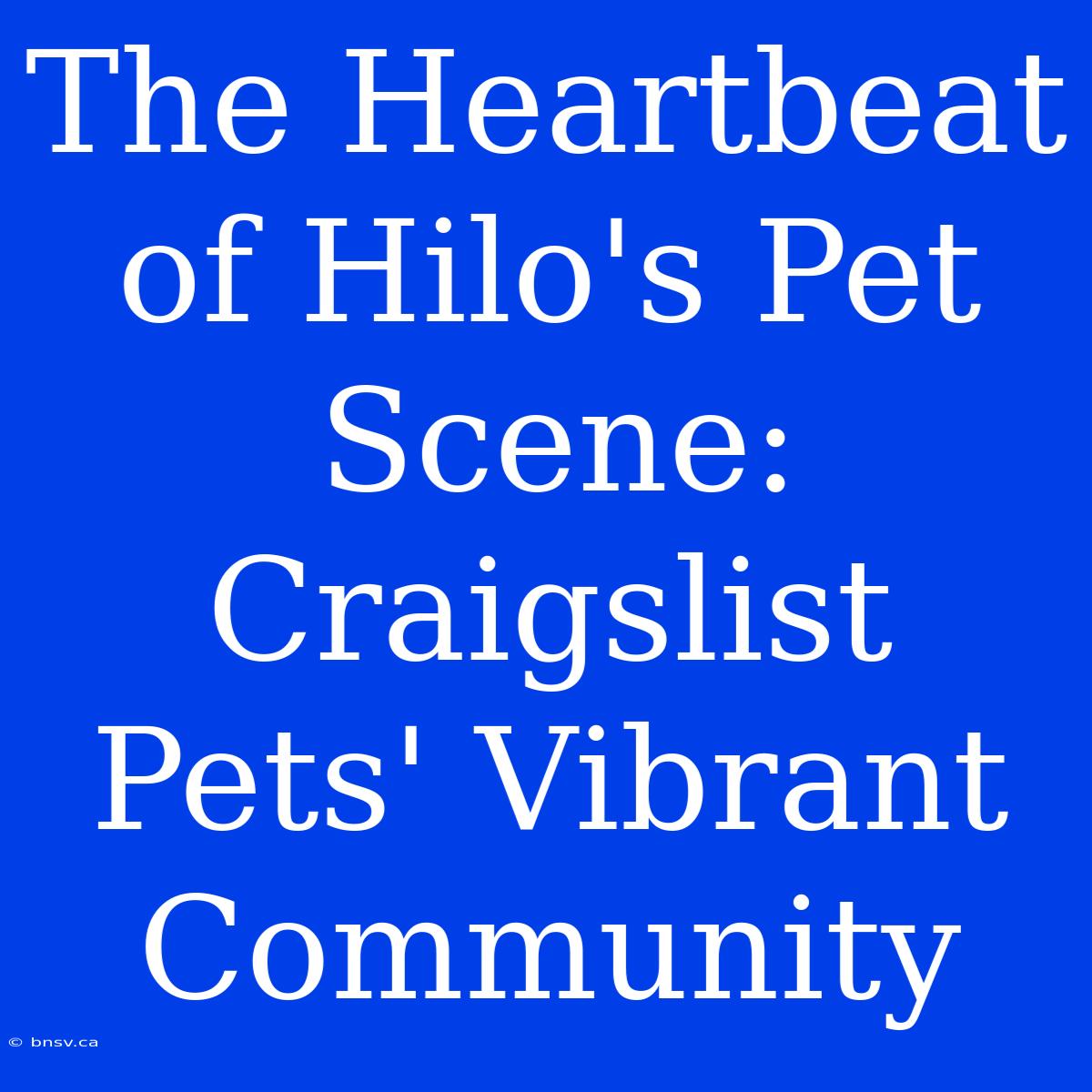 The Heartbeat Of Hilo's Pet Scene: Craigslist Pets' Vibrant Community