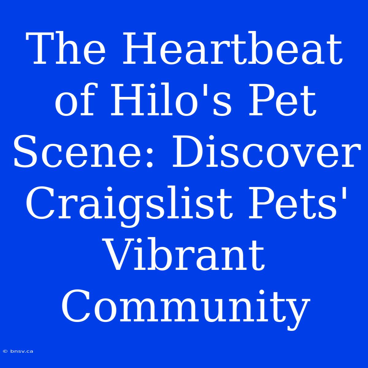 The Heartbeat Of Hilo's Pet Scene: Discover Craigslist Pets' Vibrant Community