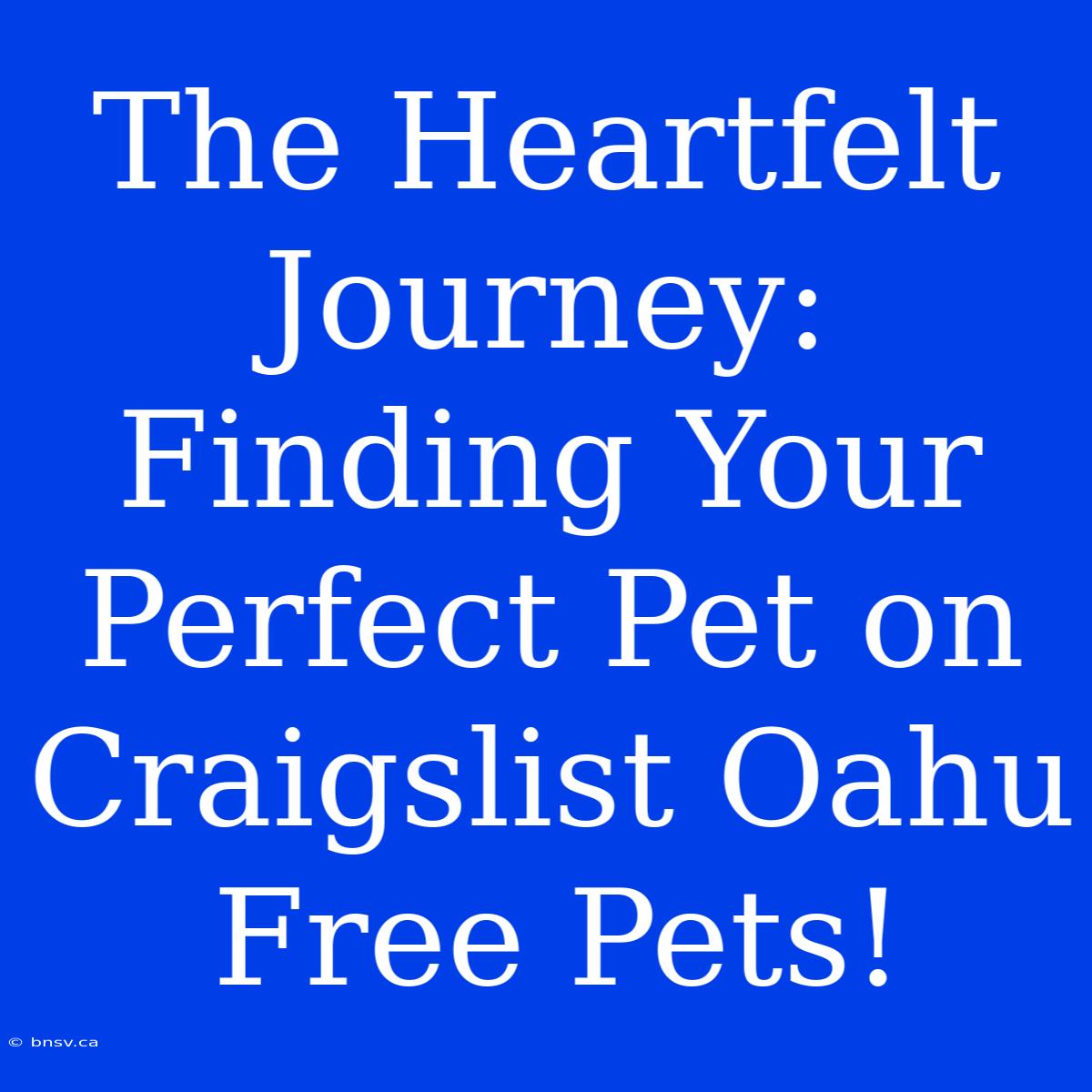 The Heartfelt Journey: Finding Your Perfect Pet On Craigslist Oahu Free Pets!