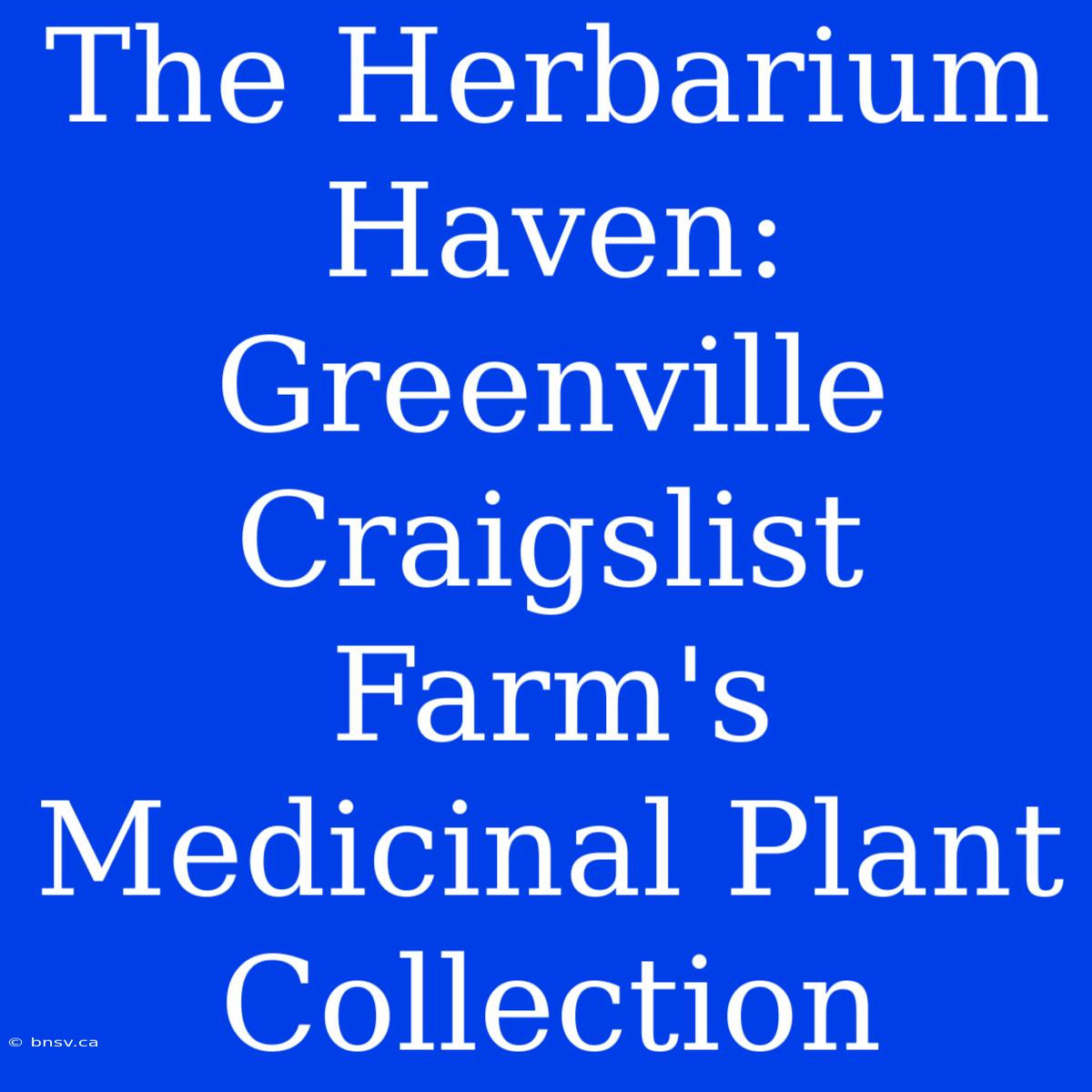 The Herbarium Haven: Greenville Craigslist Farm's Medicinal Plant Collection