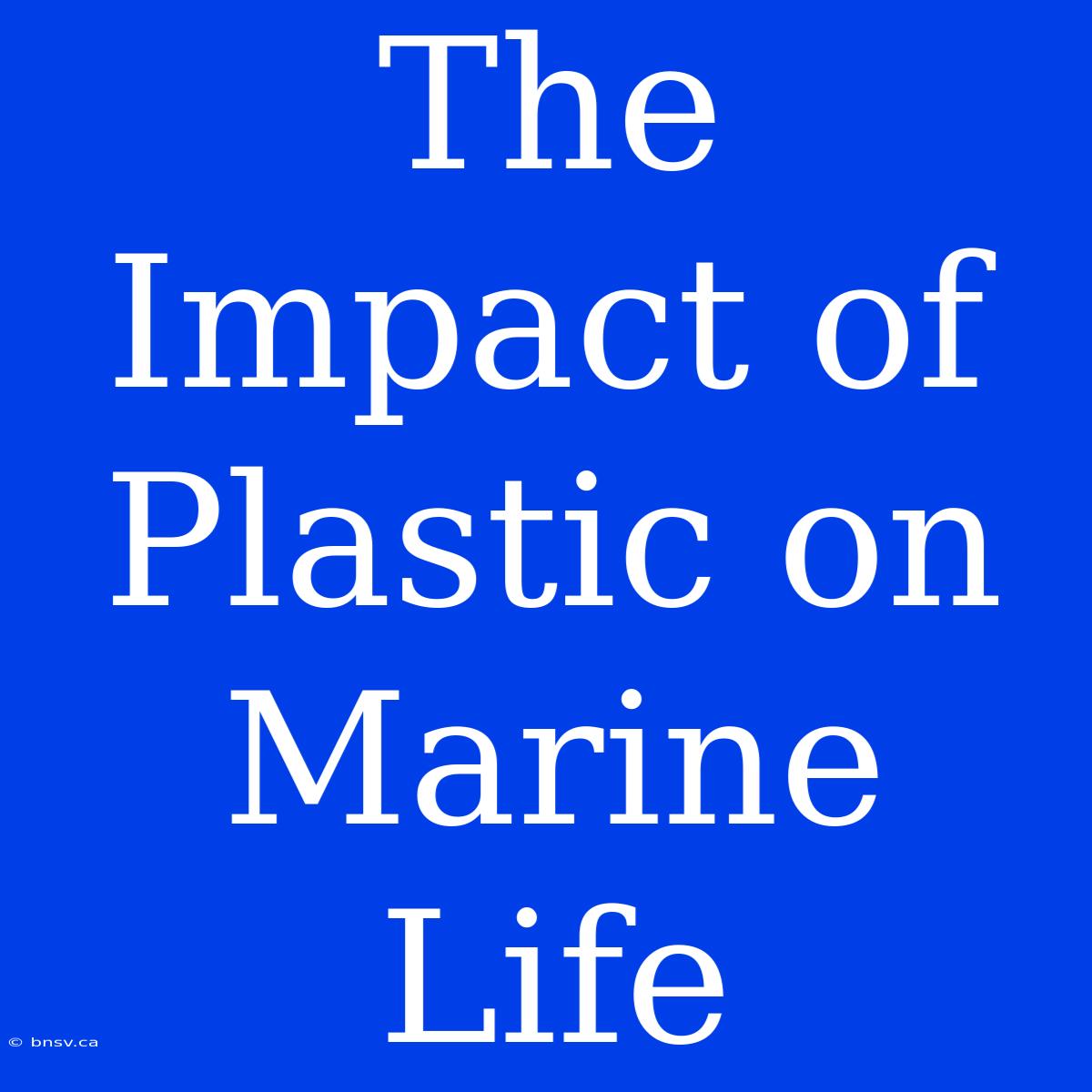 The Impact Of Plastic On Marine Life