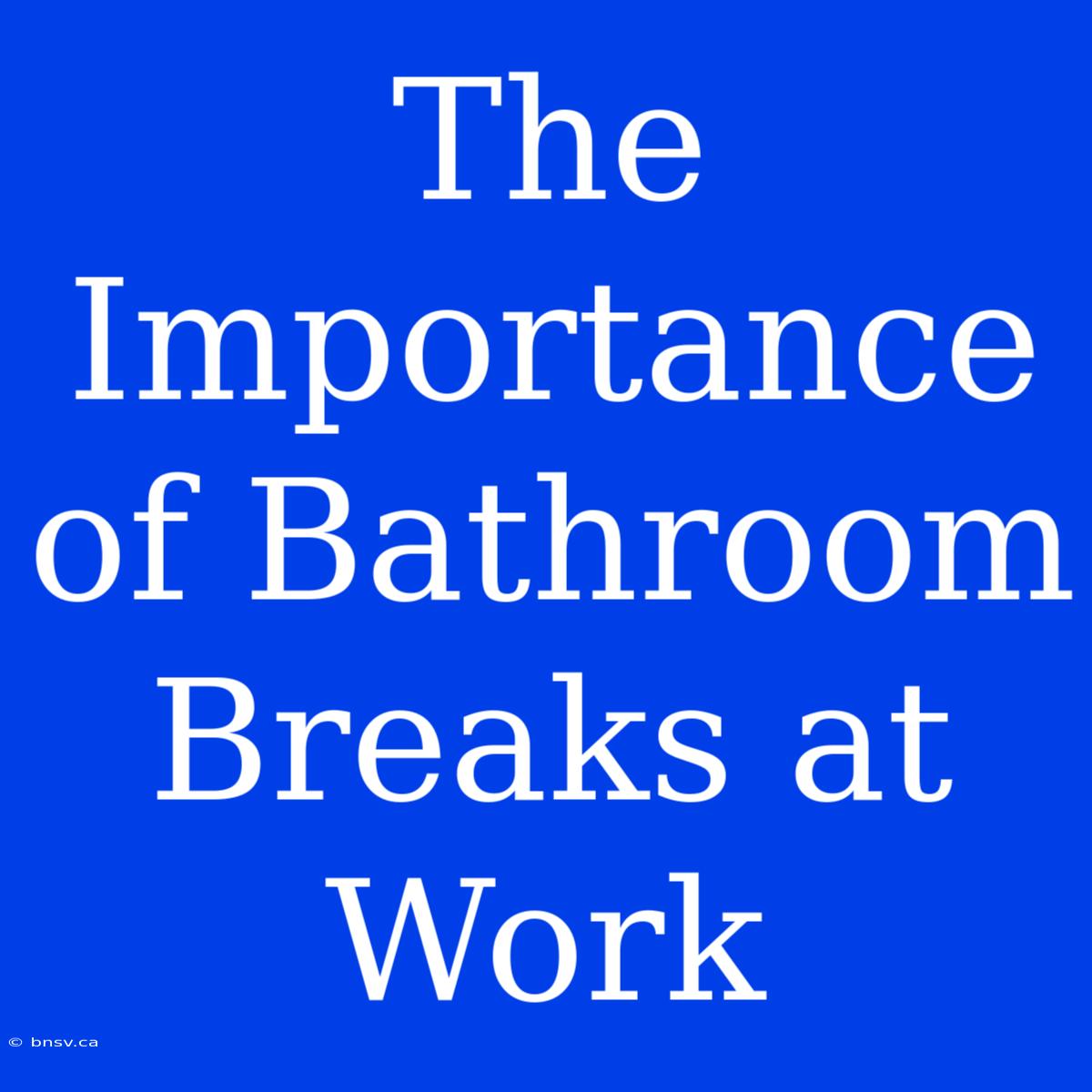 The Importance Of Bathroom Breaks At Work