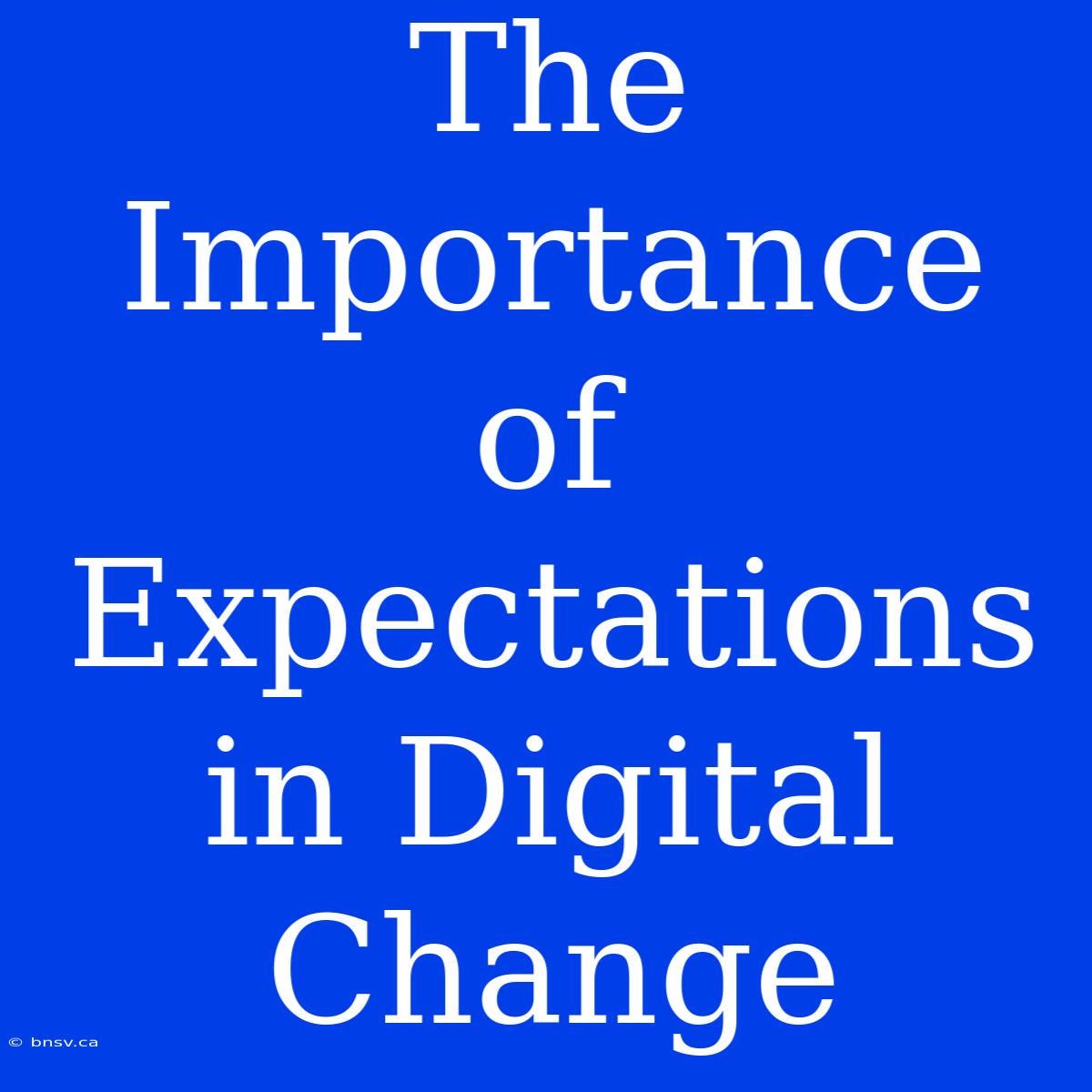 The Importance Of Expectations In Digital Change