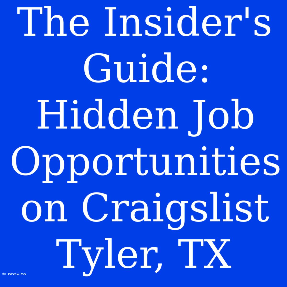 The Insider's Guide: Hidden Job Opportunities On Craigslist Tyler, TX