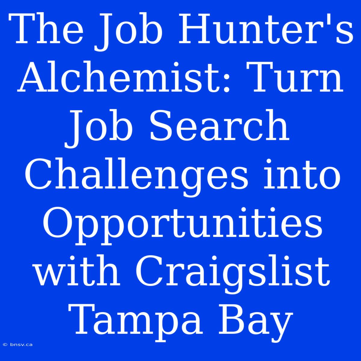 The Job Hunter's Alchemist: Turn Job Search Challenges Into Opportunities With Craigslist Tampa Bay