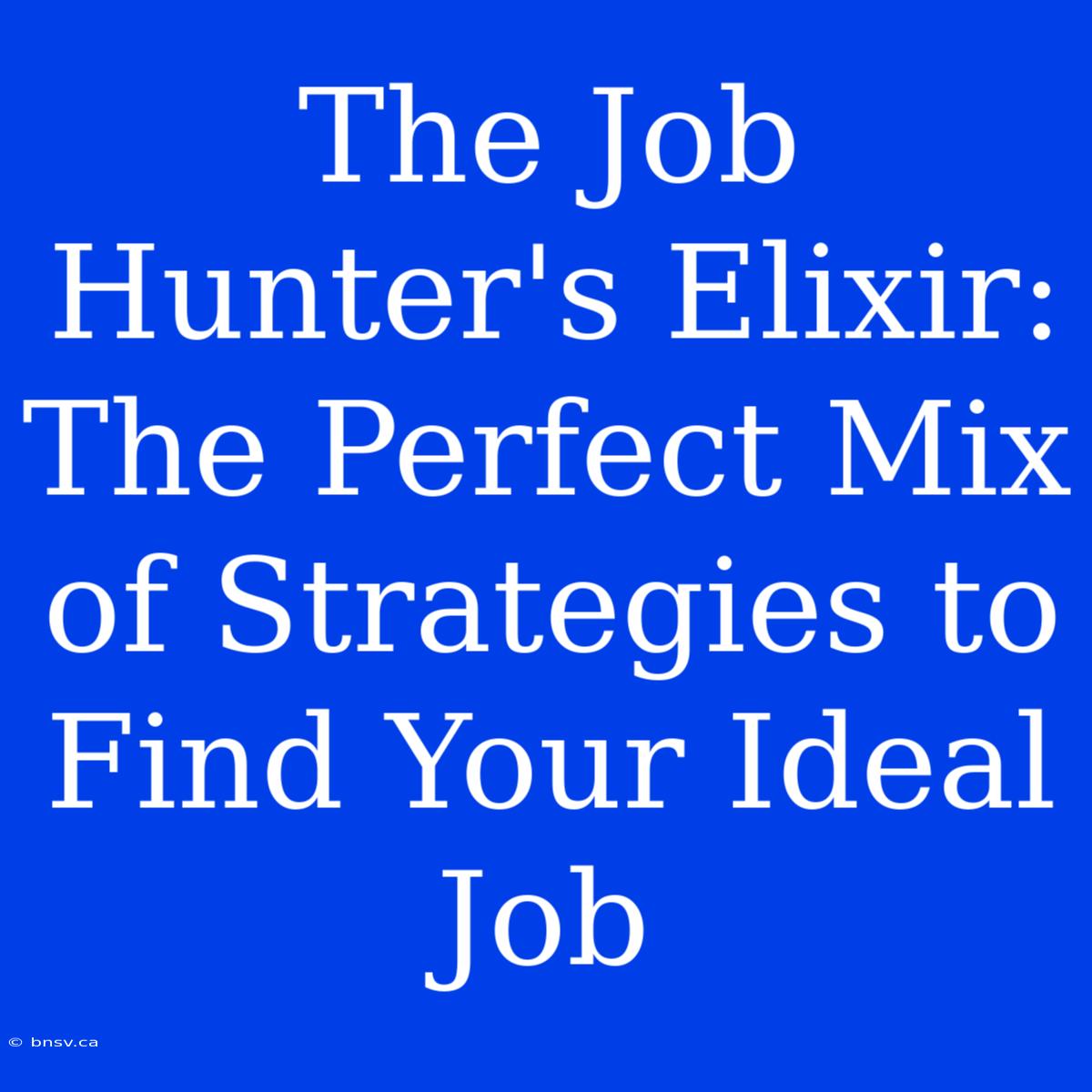 The Job Hunter's Elixir: The Perfect Mix Of Strategies To Find Your Ideal Job