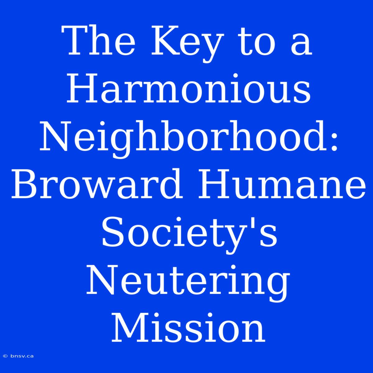 The Key To A Harmonious Neighborhood: Broward Humane Society's Neutering Mission