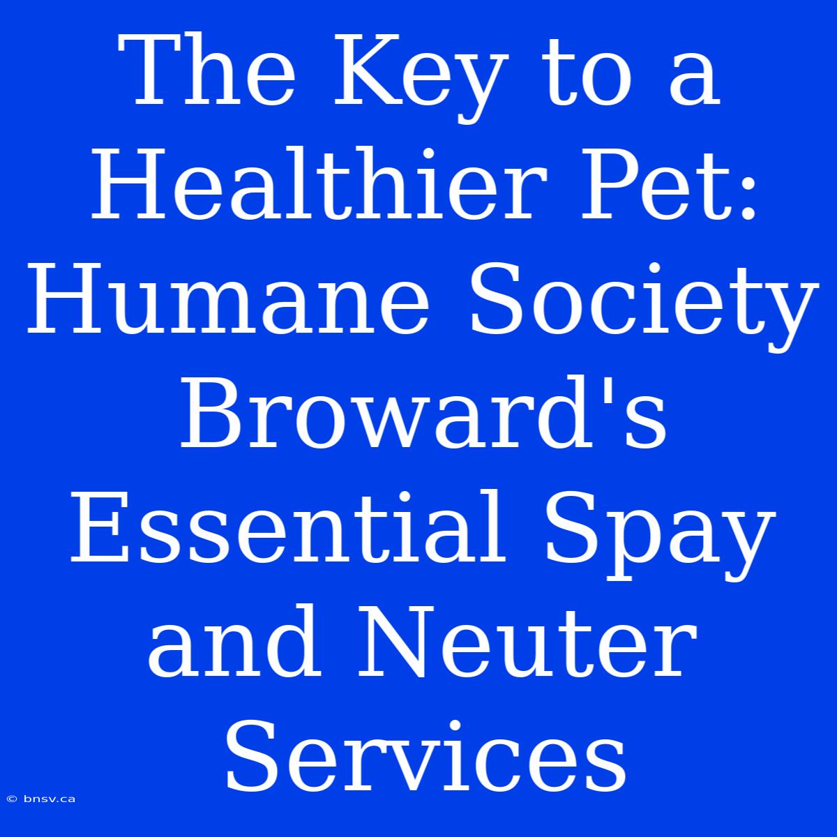 The Key To A Healthier Pet: Humane Society Broward's Essential Spay And Neuter Services